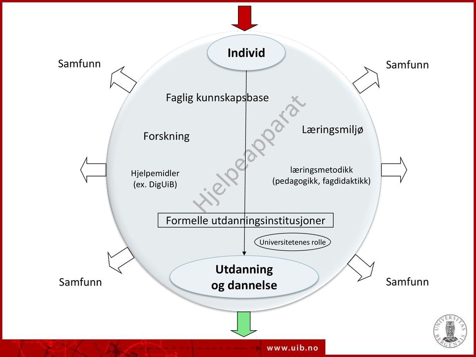 DigUiB) læringsmetodikk (pedagogikk, fagdidaktikk)