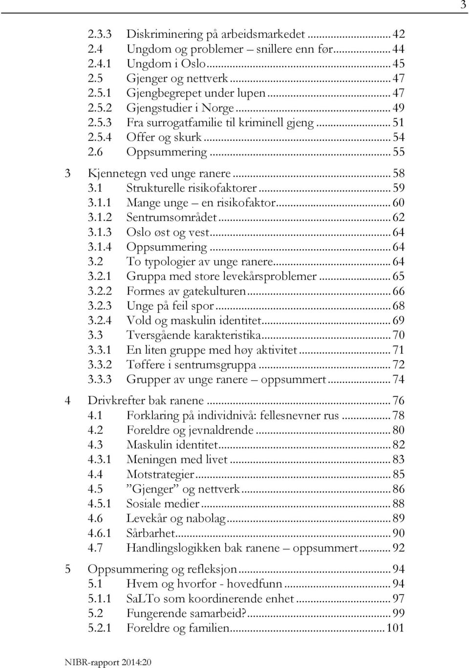 .. 60 3.1.2 Sentrumsområdet... 62 3.1.3 Oslo øst og vest... 64 3.1.4 Oppsummering... 64 3.2 To typologier av unge ranere... 64 3.2.1 Gruppa med store levekårsproblemer... 65 3.2.2 Formes av gatekulturen.