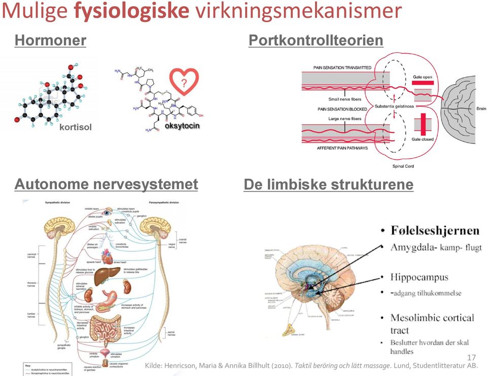 limbiske strukturene Kilde: Henricson, Maria & Annika