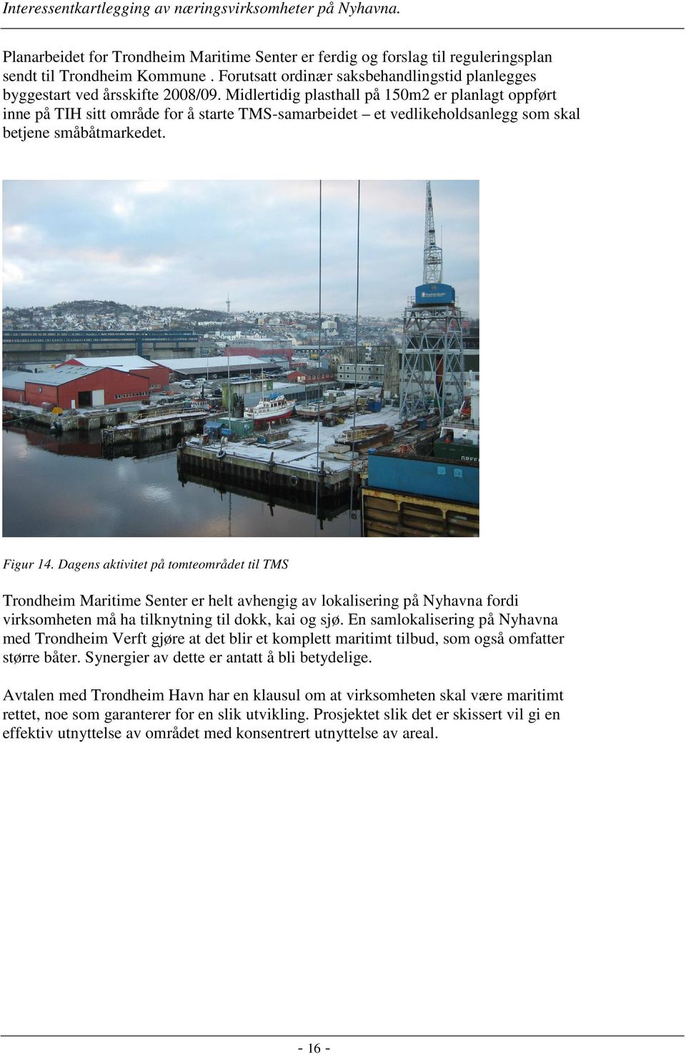 Dagens aktivitet på tomteområdet til TMS Trondheim Maritime Senter er helt avhengig av lokalisering på Nyhavna fordi virksomheten må ha tilknytning til dokk, kai og sjø.