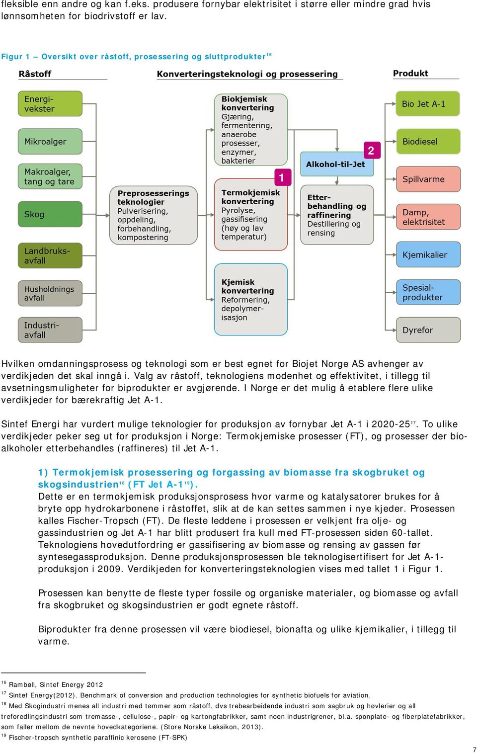 Valg av råstoff, teknologiens modenhet og effektivitet, i tillegg til avsetningsmuligheter for biprodukter er avgjørende.