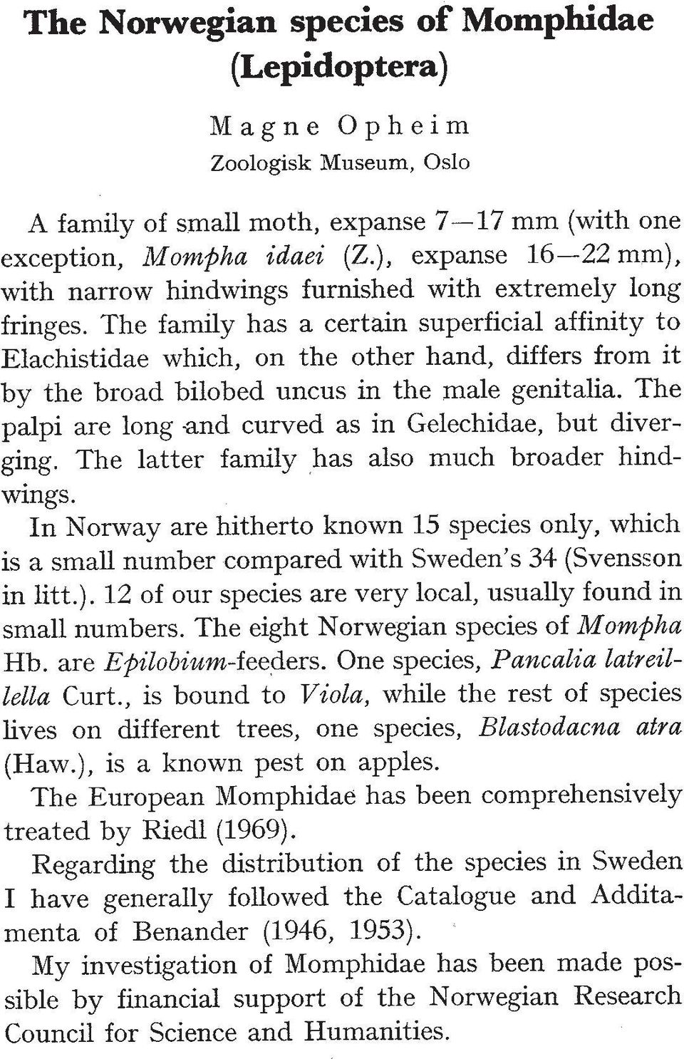 The family has a certain superficial affinity to Elachistidae which, on the other hand, differs from it by the broad bilobed uncus in the male genitalia. The palpi are long.