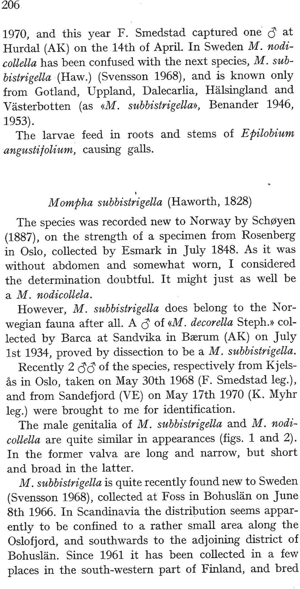 The larvae feed in roots and stems of Epilobium artgustifolium, causing galls.