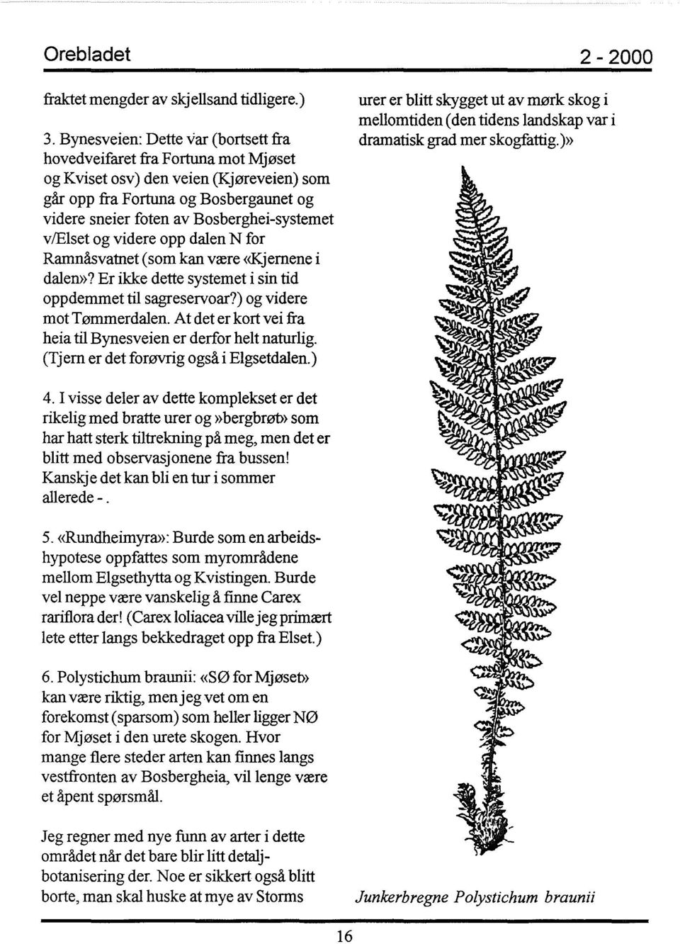 vælset og videre opp dalen N for Ramnåsvatnet (som kan være <<Kjernene i dalem>? Er ikke dette systemet i sin tid opp demmet til sagreservoar?) og videre mot Tømmerdalen.