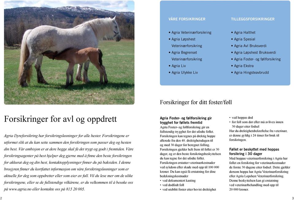 Dyreforsikring har forsikringsløsninger for alle hester. Forsik ringene er utformet slik at du kan sette sammen den forsikringen som passer deg og hesten din best.