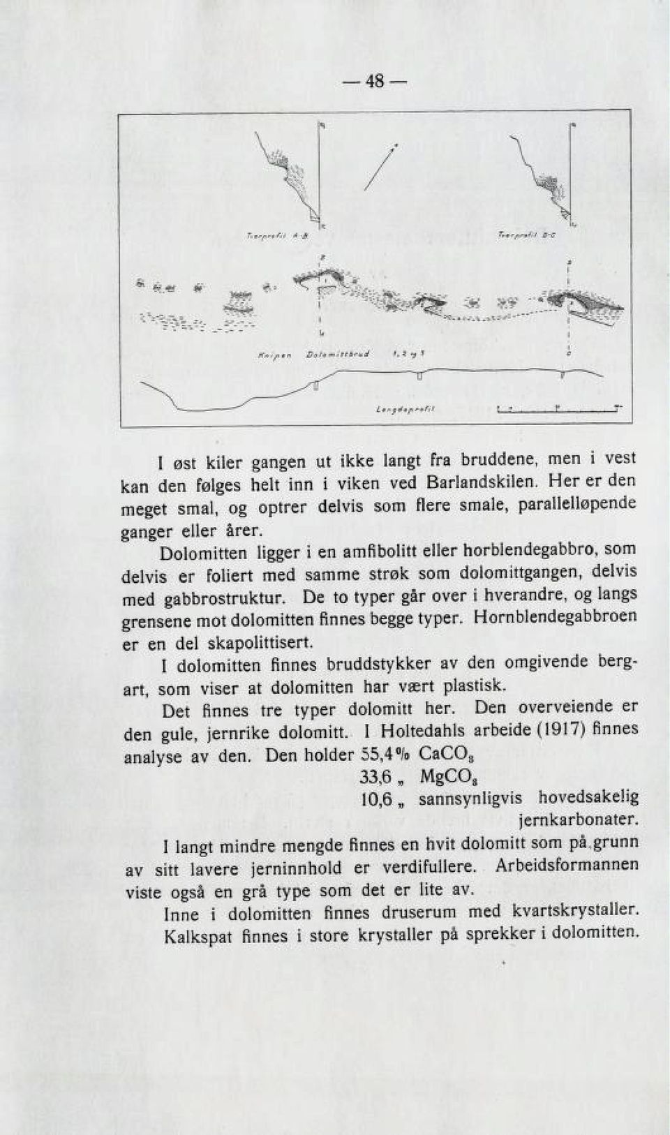 Dolomitten ligger i en amfibolitt eller horblendegabbro, som delvis er foliert med samme strøk som dolomittgangen, delvis med gabbrostruktur.