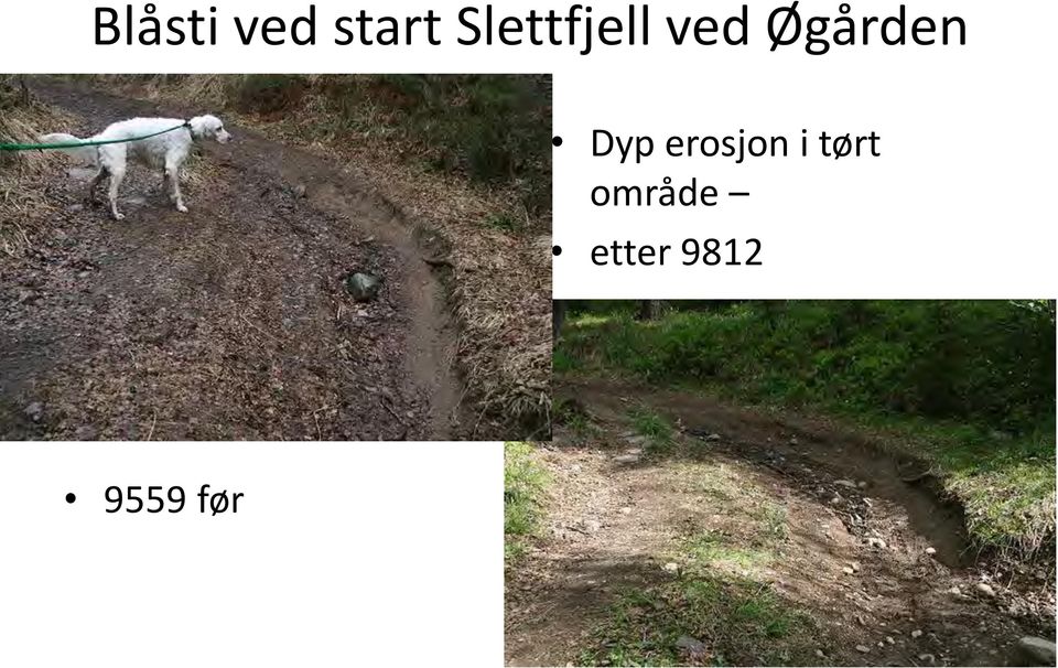 Øgården Dyp erosjon i