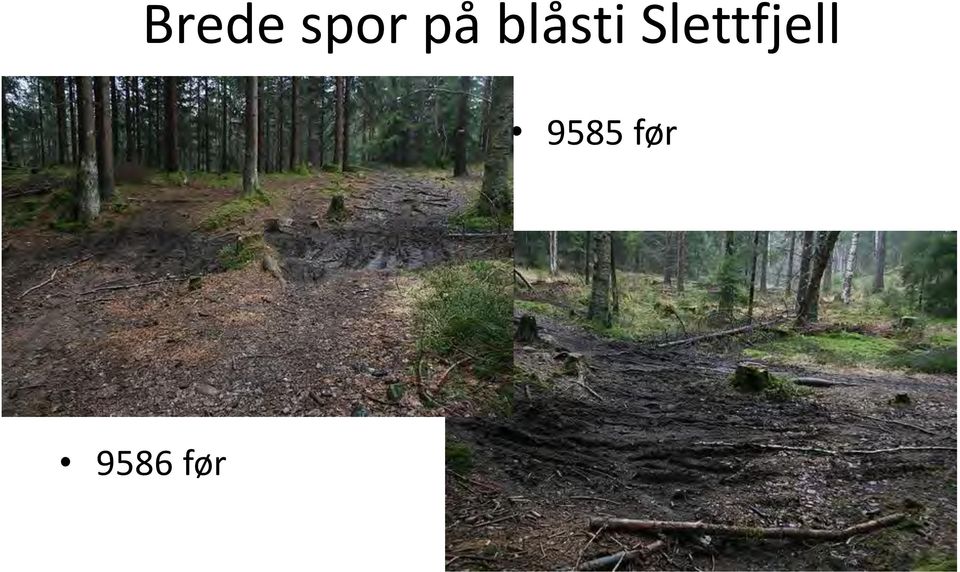 Slettfjell