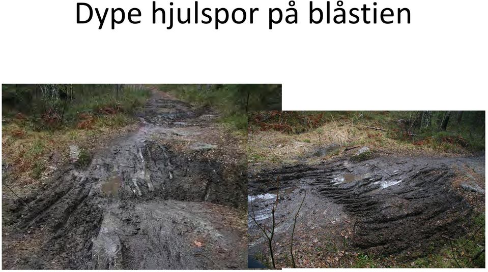 på