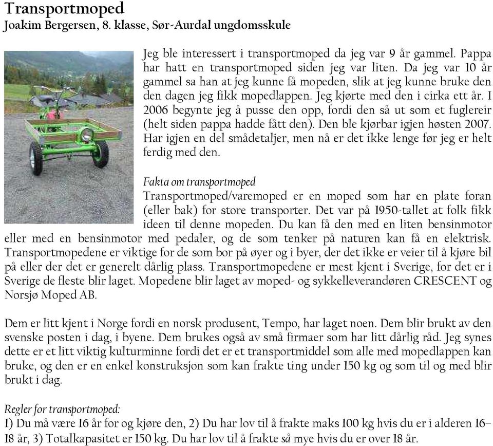 I 2006 begynte jeg å pusse den opp, fordi den så ut som et fuglereir (helt siden pappa hadde fått den). Den ble kjørbar igjen høsten 2007.