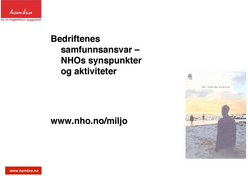 NHOs synspunkter