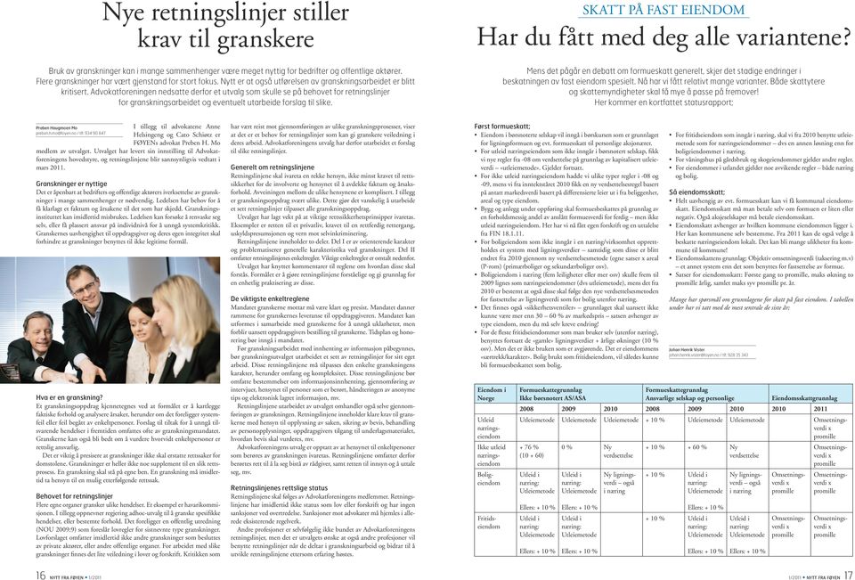 Advokatforeningen nedsatte derfor et utvalg som skulle se på behovet for retningslinjer for granskningsarbeidet og eventuelt utarbeide forslag til slike.