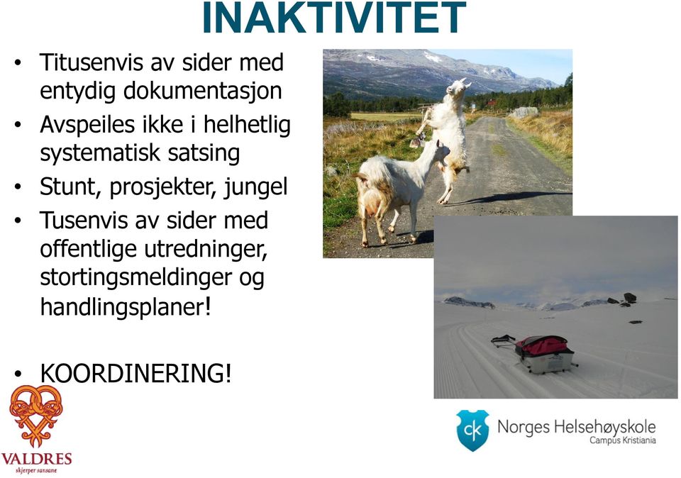 jungel Tusenvis av sider med offentlige utredninger,