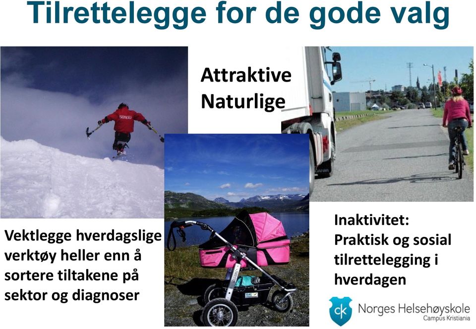 enn å sortere tiltakene på sektor og diagnoser