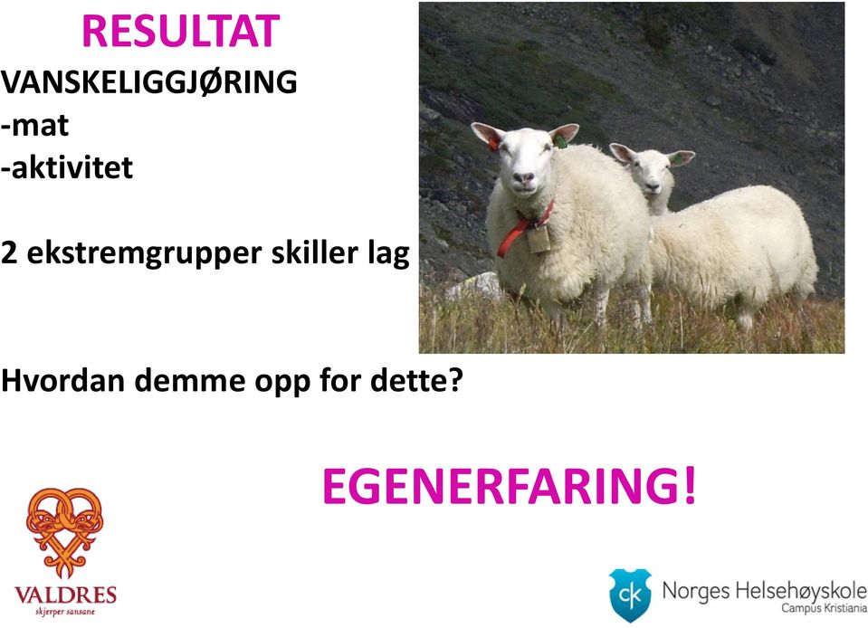 ekstremgrupper skiller lag