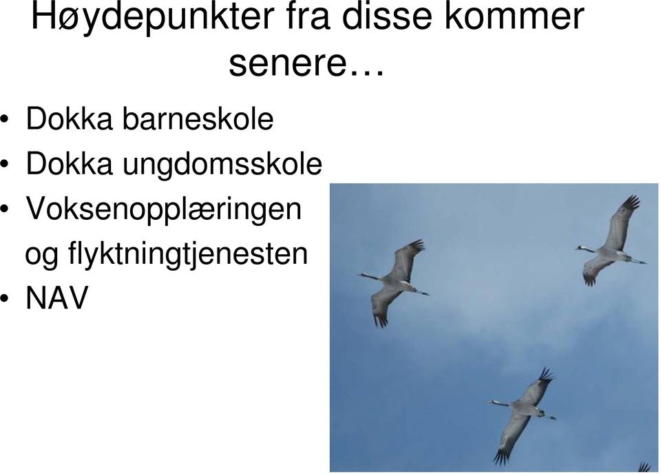 barneskole Dokka