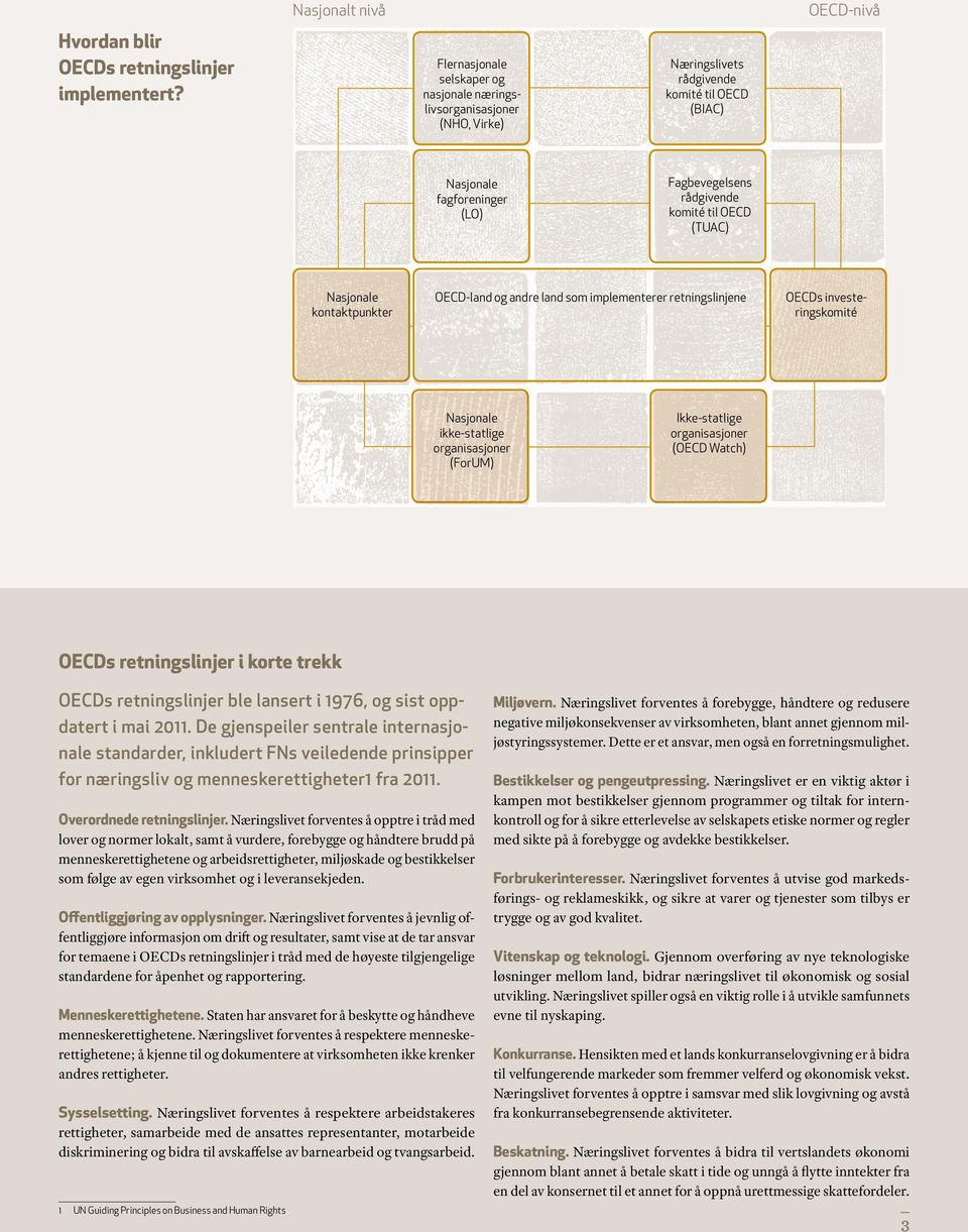 (TUAC) Nasjonale kontaktpunkter OECD-land og andre land som implementerer retningslinjene OECDs investeringskomité Nasjonale ikke-statlige organisasjoner (ForUM) Ikke-statlige organisasjoner (OECD