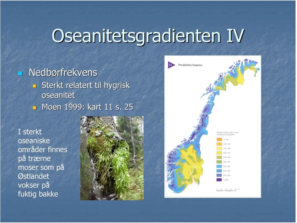 11 s. 25 I sterkt oseaniske områder finnes på