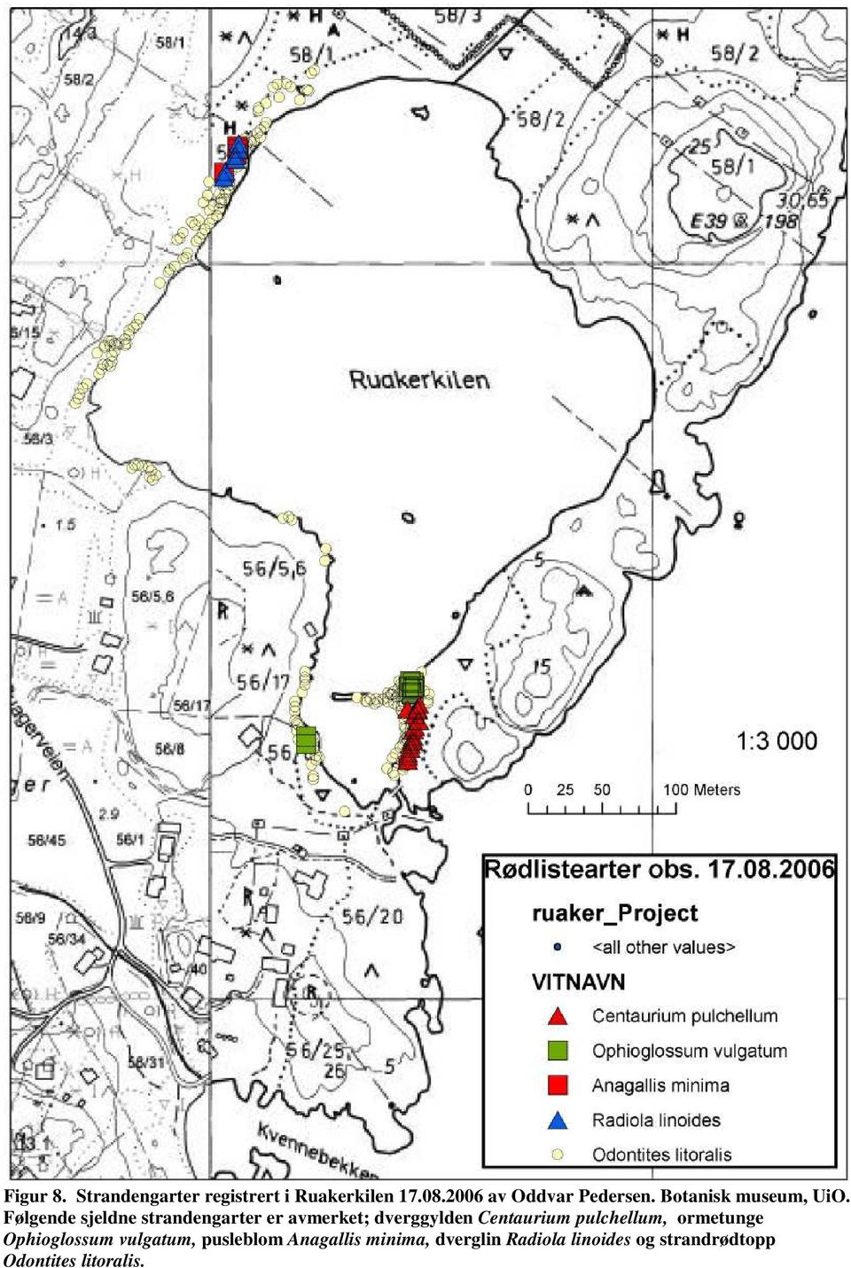 Følgende sjeldne strandengarter er avmerket; dverggylden Centaurium