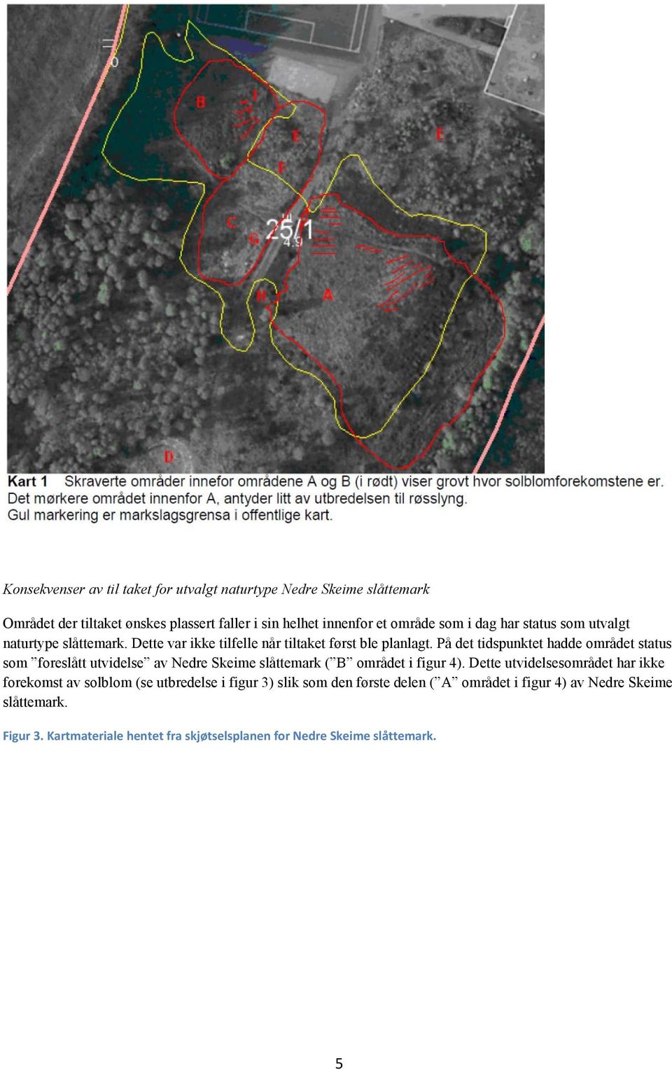 På det tidspunktet hadde området status som foreslått utvidelse av Nedre Skeime slåttemark ( B området i figur 4).