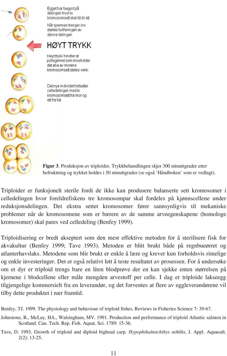 Det ekstra settet kromosomer fører sannsynligvis til mekaniske problemer når de kromosomene som er bærere av de samme arveegenskapene (homologe kromosomer) skal pares ved celledeling (Benfey 1999).