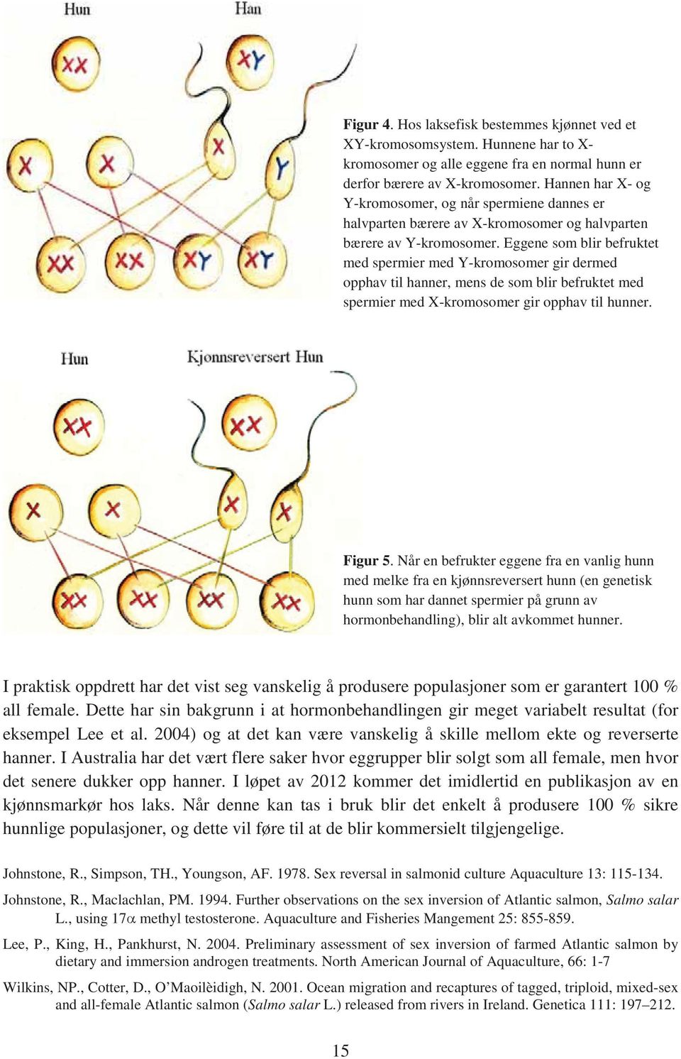 Eggene som blir befruktet med spermier med Y-kromosomer gir dermed opphav til hanner, mens de som blir befruktet med spermier med X-kromosomer gir opphav til hunner. Figur 5.