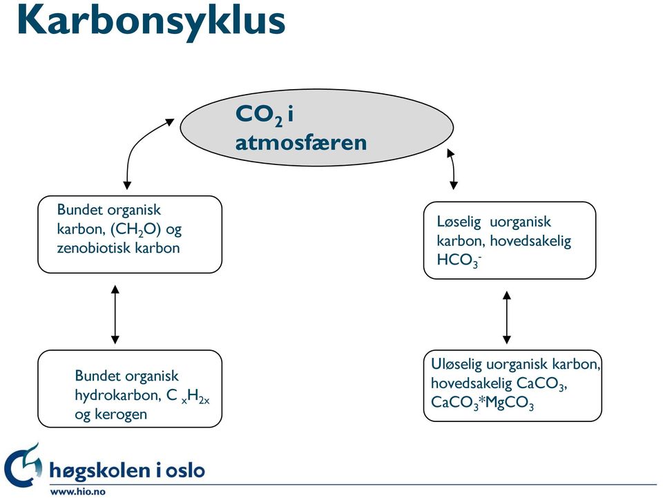 hovedsakelig HCO 3 - Bundet organisk hydrokarbon, C x H 2x
