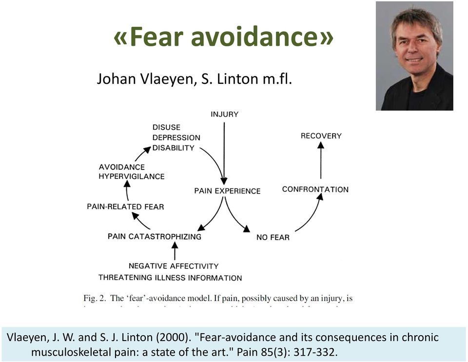 "Fear-avoidance and its consequences in chronic 17