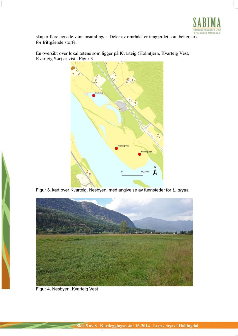 En oversikt over lokalitetene som ligger på Kvarteig (Holmtjern, Kvarteig Vest, Kvarteig Sør) er