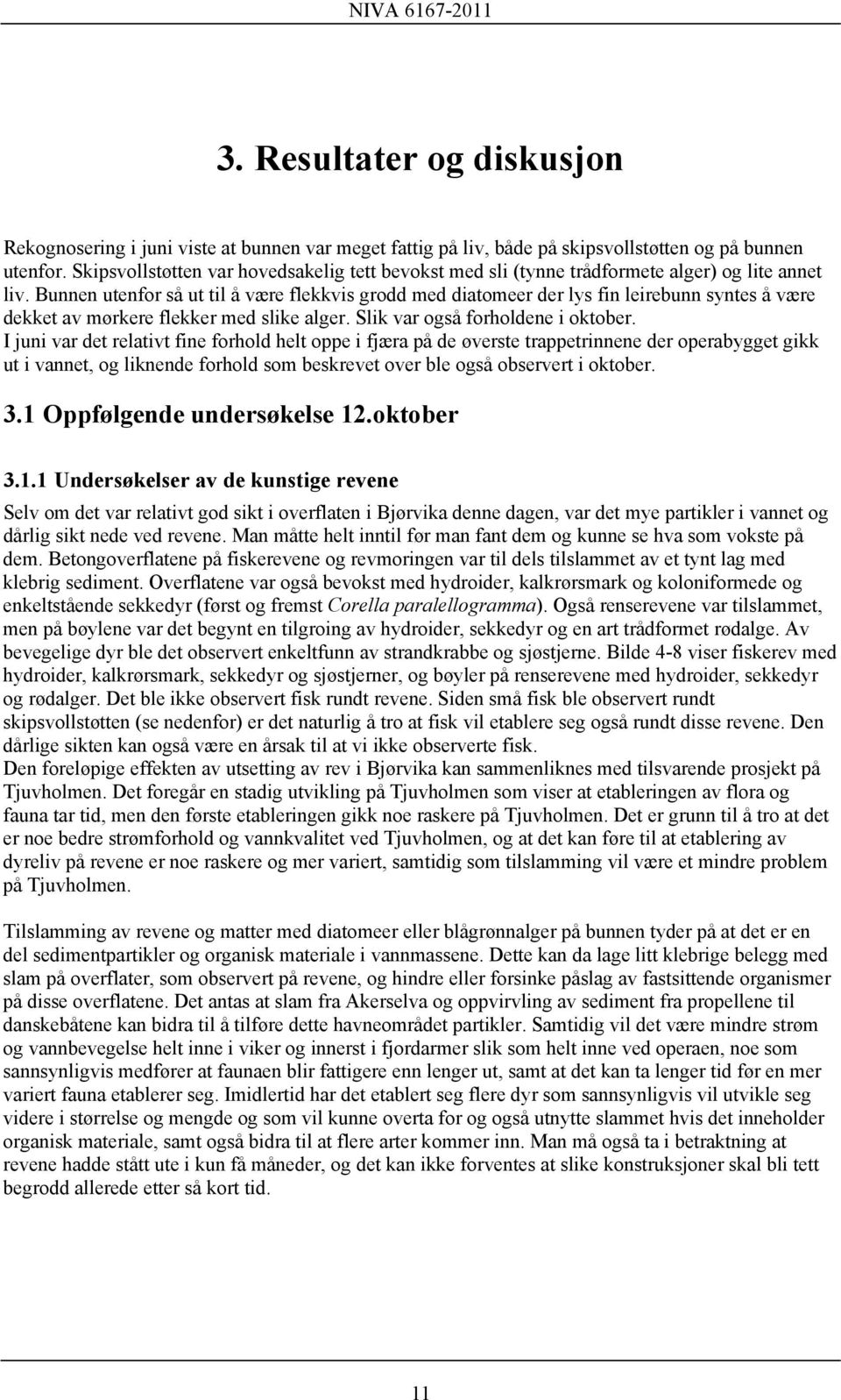 Bunnen utenfor så ut til å være flekkvis grodd med diatomeer der lys fin leirebunn syntes å være dekket av mørkere flekker med slike alger. Slik var også forholdene i oktober.