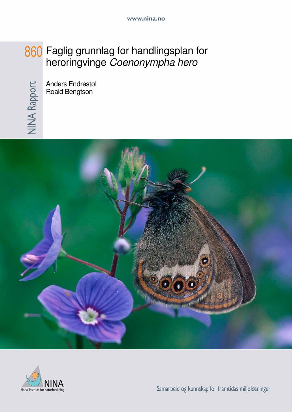 heroringvinge Coenonympha