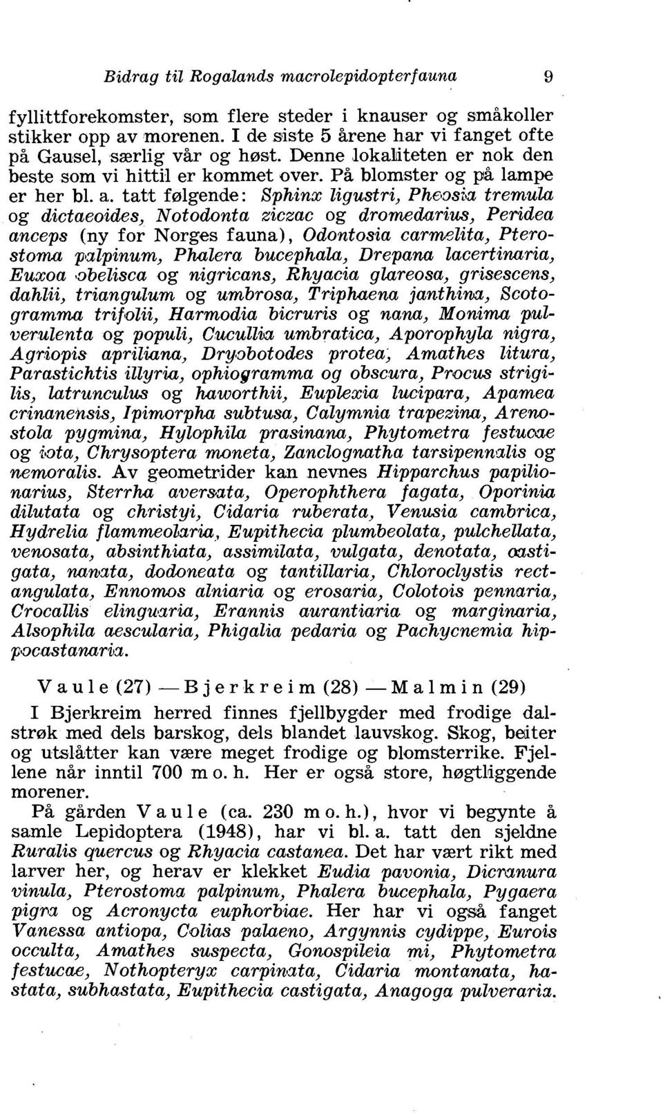 tatt ferlgende: Sphinx ligustri, Phs~sits tremulu og dictaeoides, Notodonta xicxac og drornedurius, Peridea anceps (ny for Norges fauna), Odontosia carmelita, Pterostoma pslpinum, Phalera bucephalu,