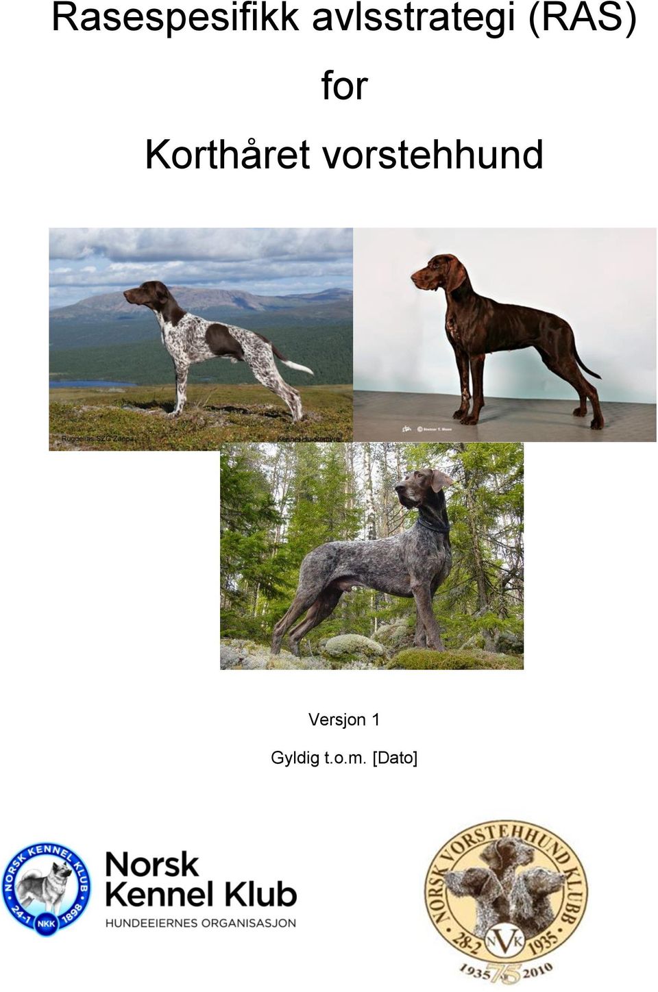 Korthåret vorstehhund