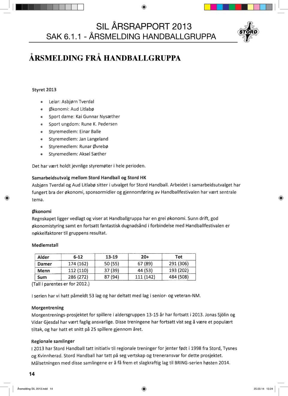 HANDBALLGRUPPA ÅRSMELDING