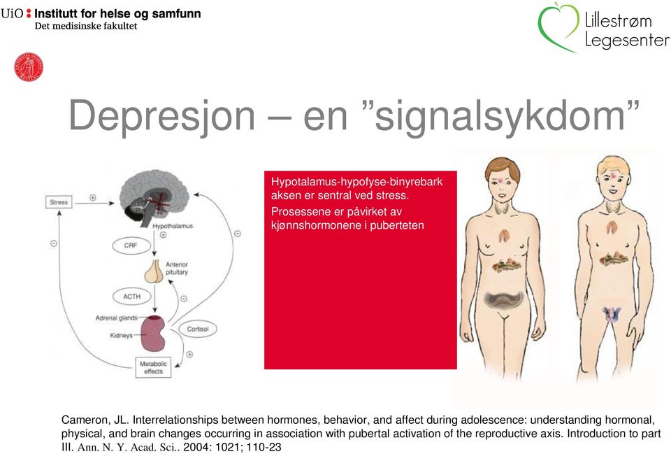 Interrelationships between hormones, behavior, and affect during adolescence: understanding hormonal,