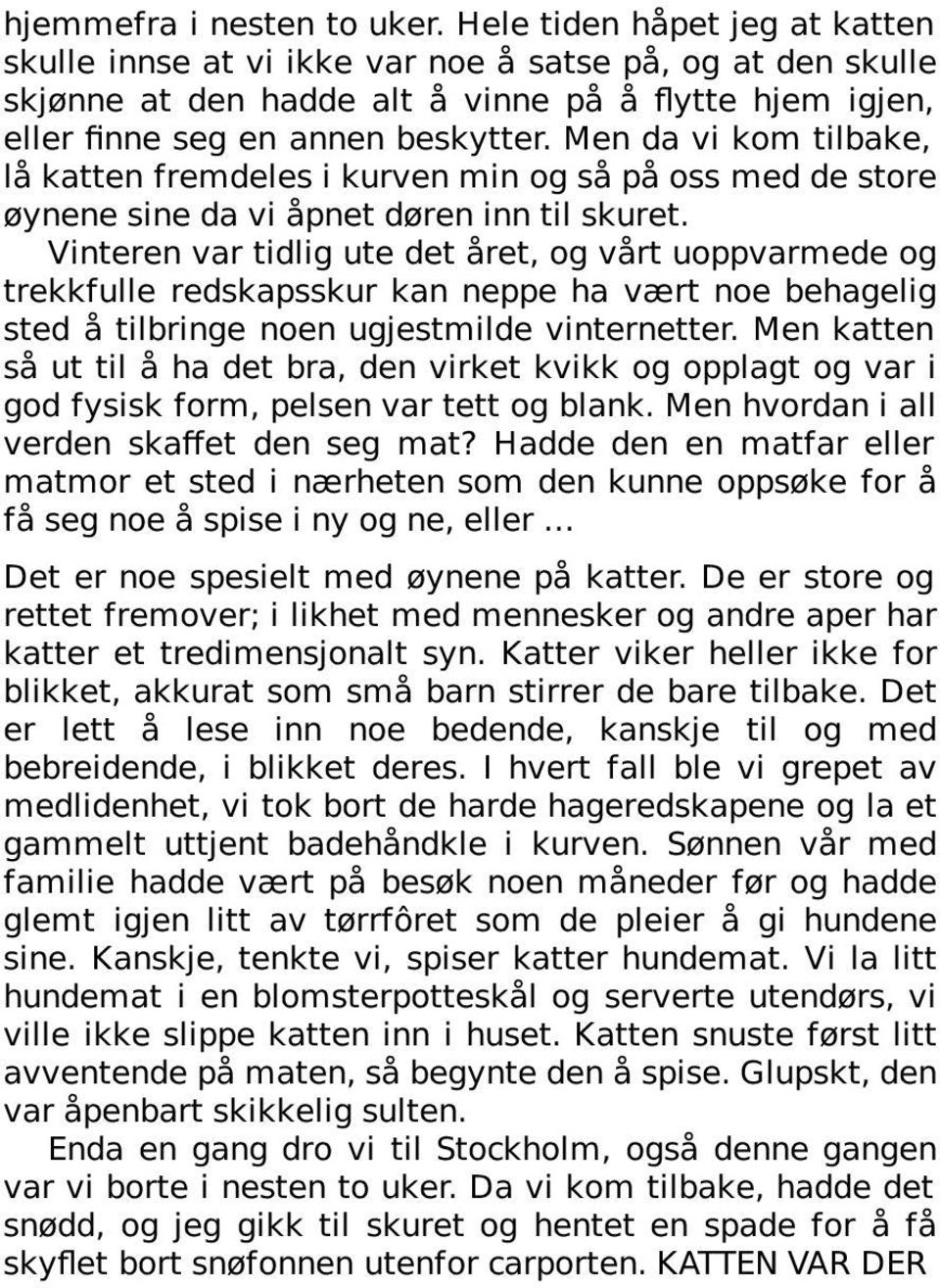 Men da vi kom tilbake, lå katten fremdeles i kurven min og så på oss med de store øynene sine da vi åpnet døren inn til skuret.