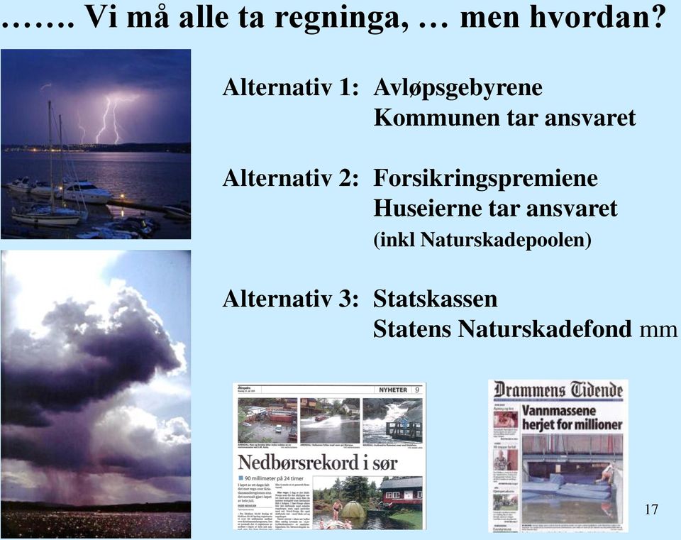 Alternativ 2: Forsikringspremiene Huseierne tar ansvaret