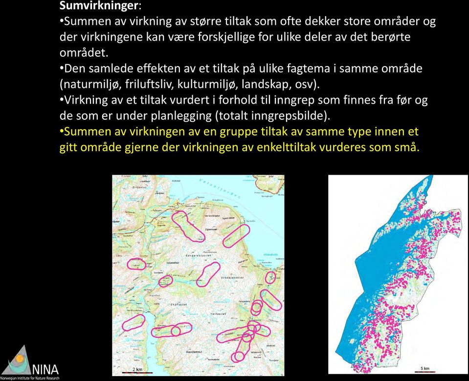 Den samlede effekten av et tiltak på ulike fagtema i samme område (naturmiljø, friluftsliv, kulturmiljø, landskap, osv).