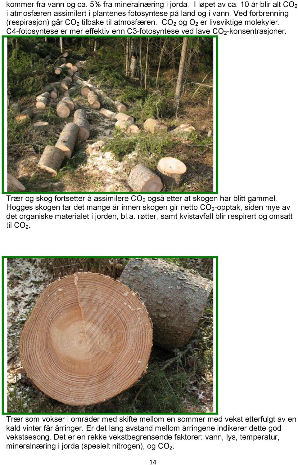 Trær og skog fortsetter å assimilere CO 2 også etter at skogen har blitt gammel. Hogges skogen tar det mange år innen skogen gir netto CO 2 -opptak, siden mye av det organiske materialet i jorden, bl.