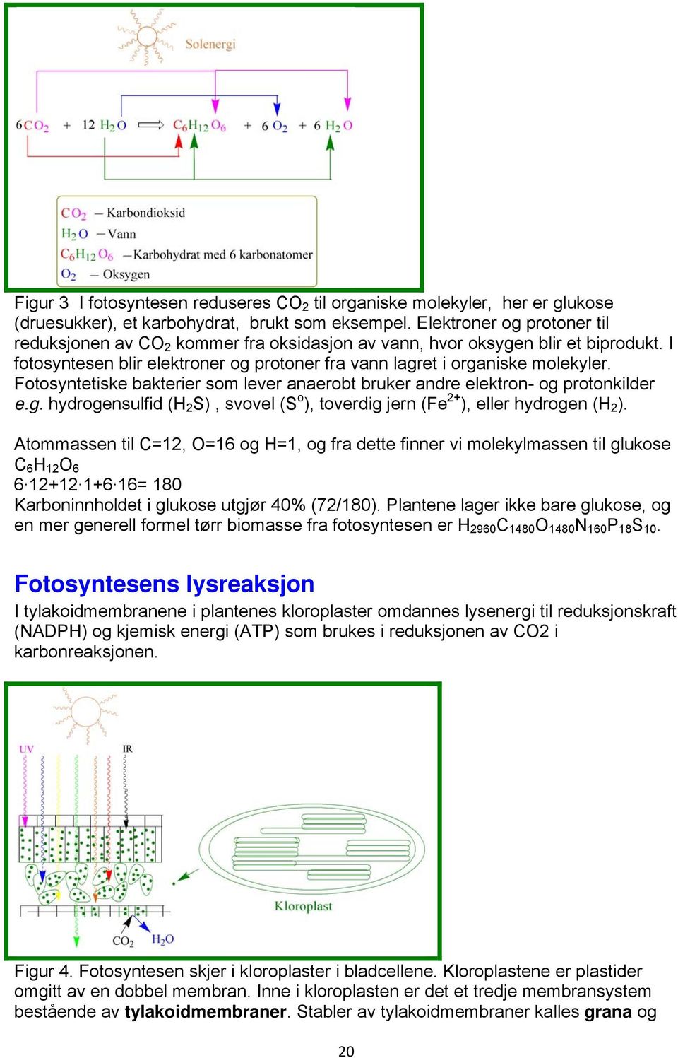 Fotosyntetiske bakterier som lever anaerobt bruker andre elektron- og protonkilder e.g. hydrogensulfid (H 2 S), svovel (S o ), toverdig jern (Fe 2+ ), eller hydrogen (H 2 ).