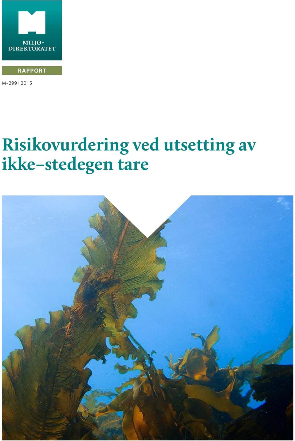 Risikovurdering