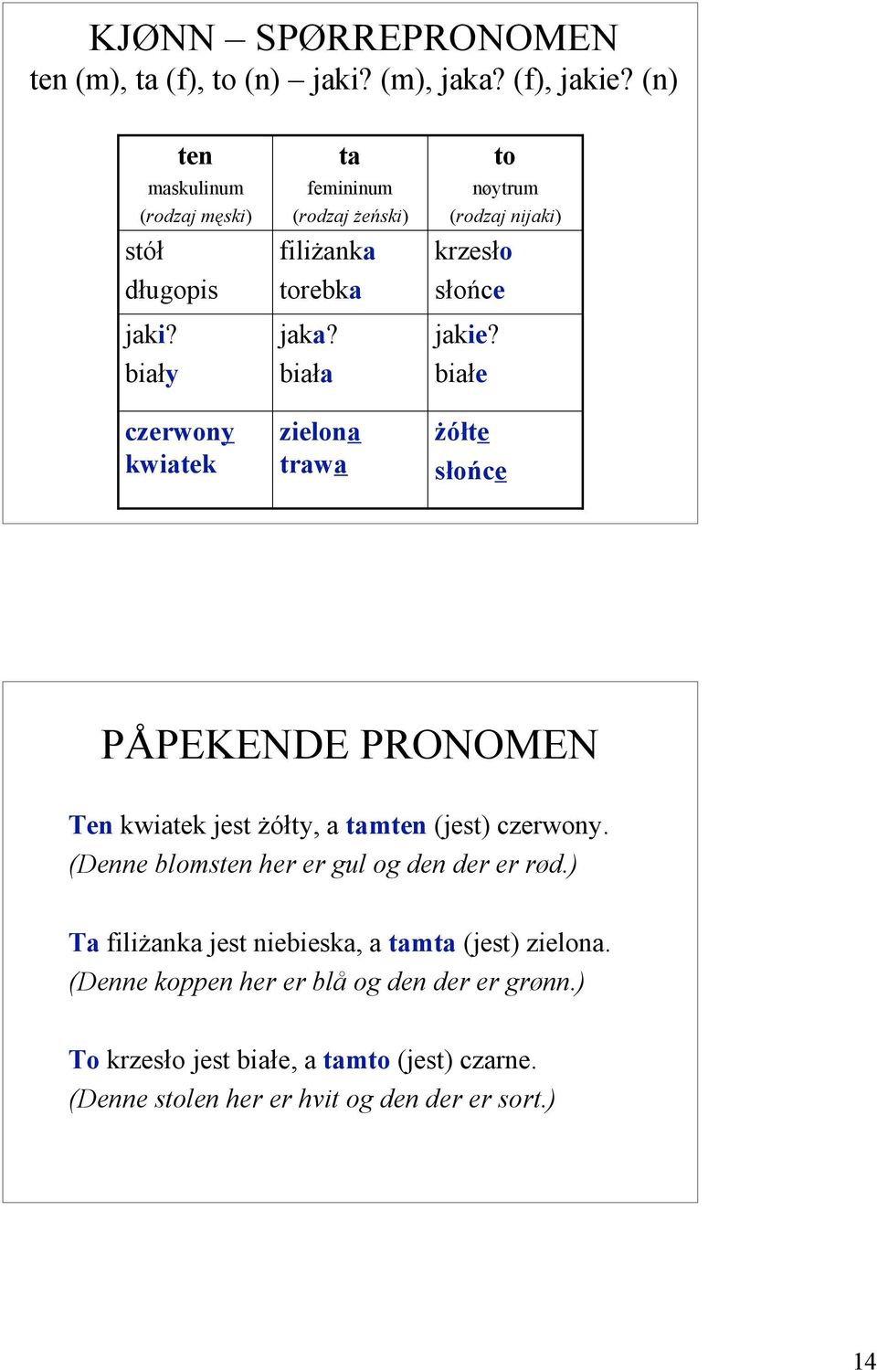 biała ta femininum (rodzaj żeński) filiżanka torebka zielona trawa krzesło słońce jakie?