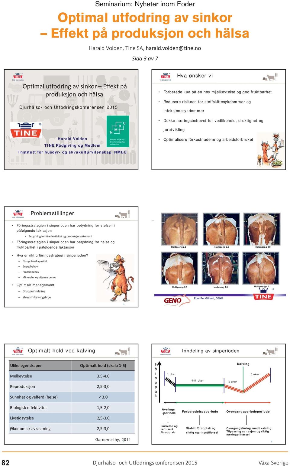for stoffskiftesykdommer og infeksjonssykdommer Dekke næringsbehovet for vedlikehold, drektighet og jurutvikling Harald Volden TINE Rådgiving og Medlem Institutt for husdyr- og akvakulturvitenskap,