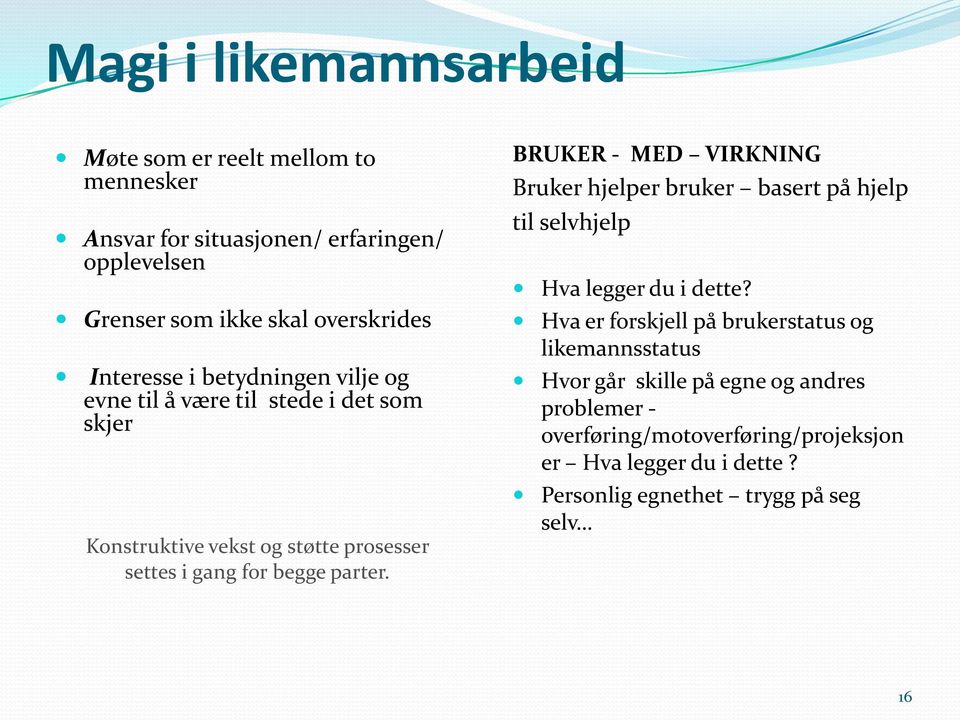 BRUKER - MED VIRKNING Bruker hjelper bruker basert på hjelp til selvhjelp Hva legger du i dette?