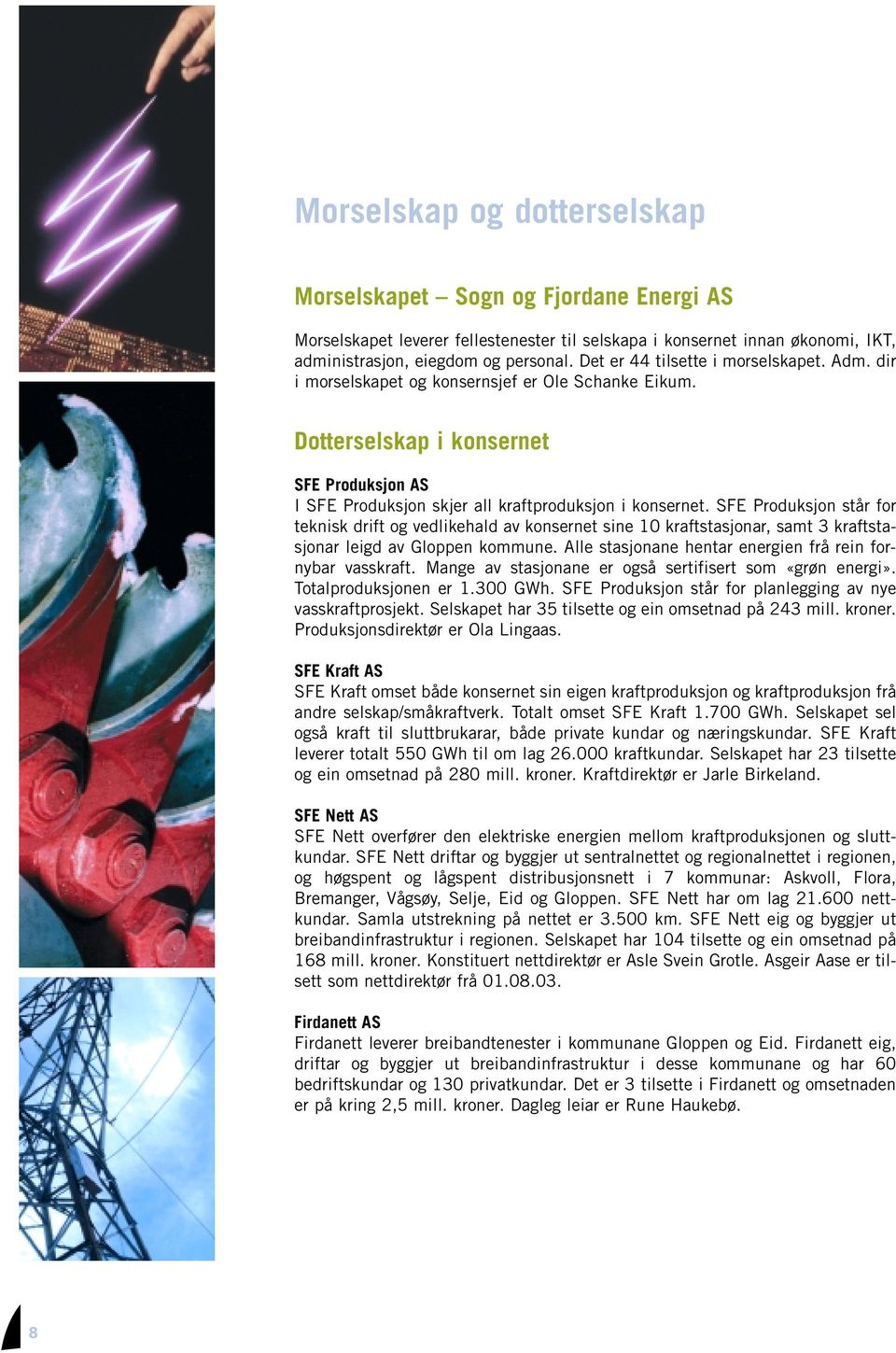 SFE Produksjon står for teknisk drift og vedlikehald av konsernet sine 10 kraftstasjonar, samt 3 kraftstasjonar leigd av Gloppen kommune. Alle stasjonane hentar energien frå rein fornybar vasskraft.