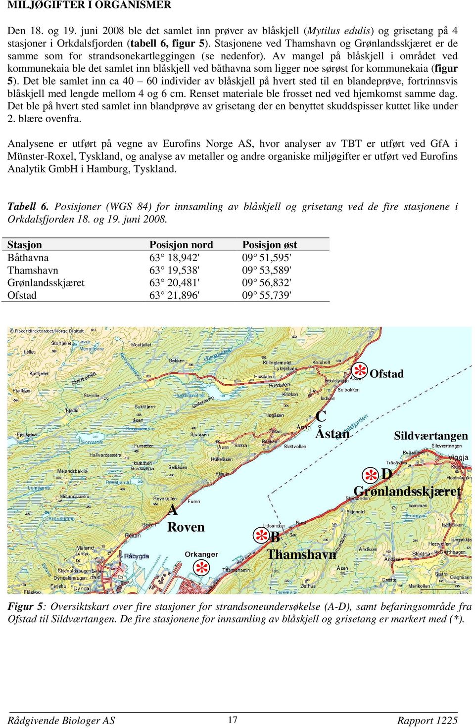 Av mangel på blåskjell i området ved kommunekaia ble det samlet inn blåskjell ved båthavna som ligger noe sørøst for kommunekaia (figur 5).
