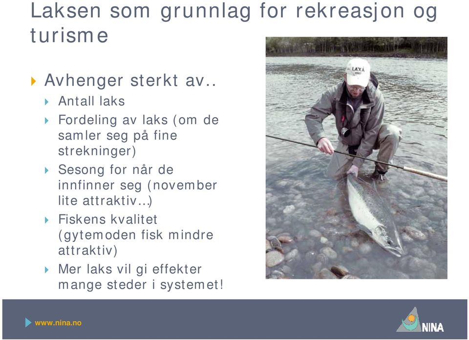 Sesong for når de innfinner seg (november lite attraktiv ) Fiskens