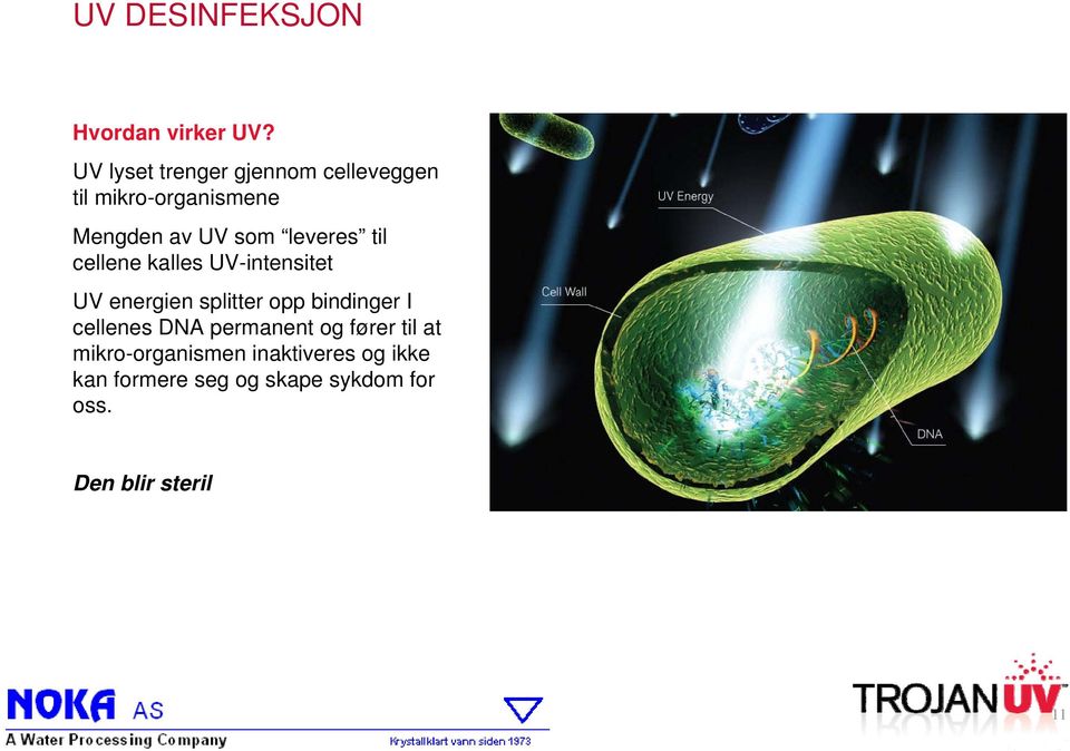 leveres til cellene kalles UV-intensitet UV energien splitter opp bindinger I