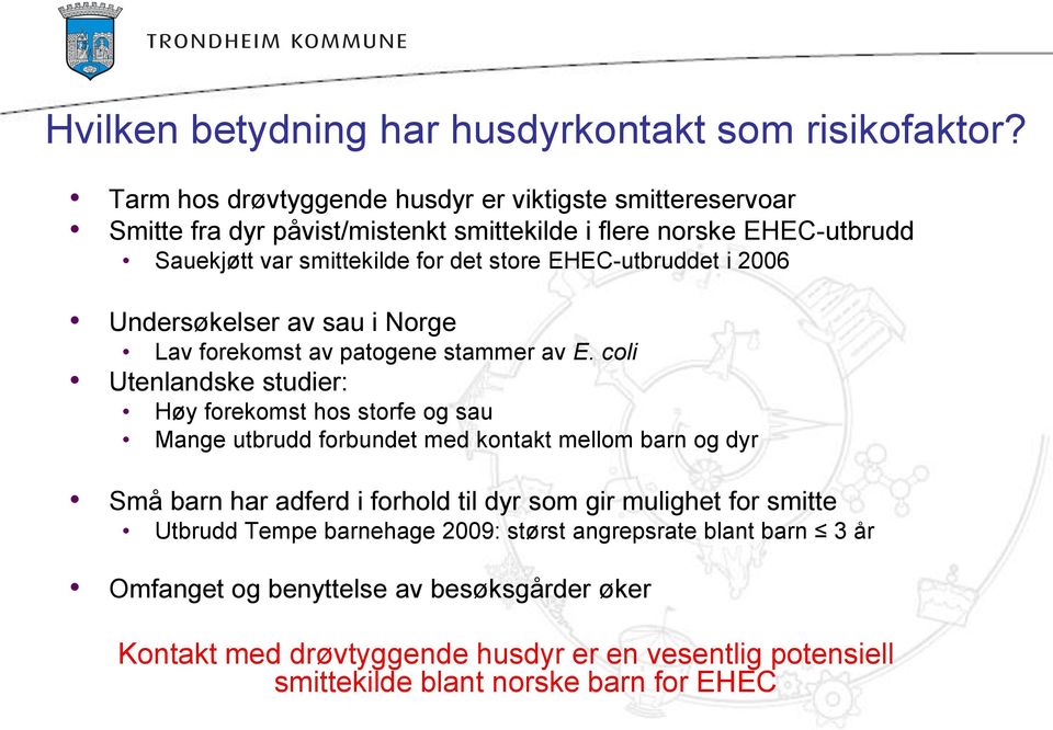 EHEC-utbruddet i 2006 Undersøkelser av sau i Norge Lav forekomst av patogene stammer av E.