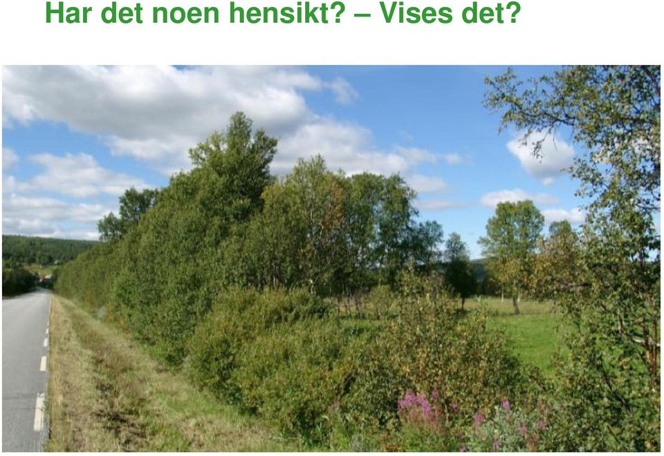 hensikt?